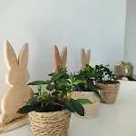 Avec Vue 4 Personnes Ardennes - Proche De Durbuy - La Roche - 2 Terrasses Privatives Et Jardin - Parking Gratuit 2 Voitures Noiseux