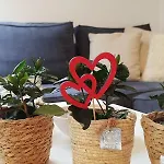 Daire Avec Vue 4 Personnes Ardennes - Proche De Durbuy - La Roche - 2 Terrasses Privatives Et Jardin - Parking Gratuit 2 Voitures *