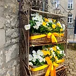 Avec Vue 4 Personnes Ardennes - Proche De Durbuy - La Roche - 2 Terrasses Privatives Et Jardin - Parking Gratuit 2 Voitures Noiseux