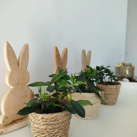 4 Personnes Et 1 Bebe Avec Vue Proche De Durbuy - La Roche - 2 Terrasses Et Jardin - Parking Gratuit 2 Voitures Noiseux