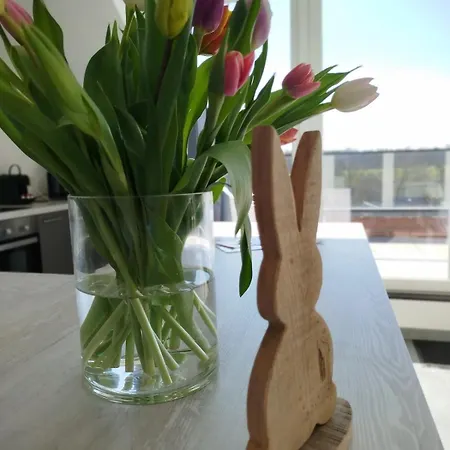 4 Personnes Et 1 Bebe Avec Vue Proche De Durbuy - La Roche - 2 Terrasses Et Jardin - Parking Gratuit 2 Voitures Noiseux