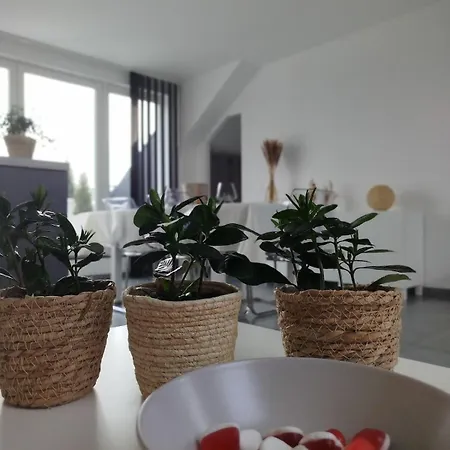 Penthouse Avec Vue - Durbuy - Hotton - La Roche En Ardennes - Sur Lesse - Lumineux - Terrasses - Parking - Grand Jardin شقة *