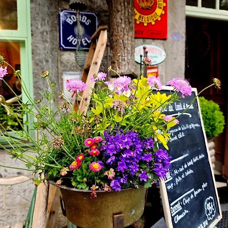 4 Personnes Et 1 Bebe Avec Vue Proche De Durbuy - La Roche - 2 Terrasses Et Jardin - Parking Gratuit 2 Voitures * Noiseux