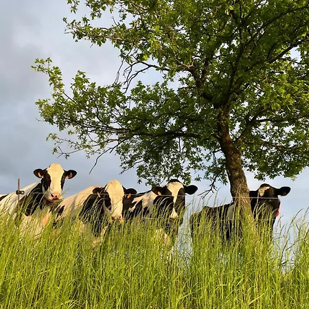 Avec Vue 4 Personnes Ardennes - Proche De Durbuy - La Roche - 2 Terrasses Privatives Et Jardin - Parking Gratuit 2 Voitures *