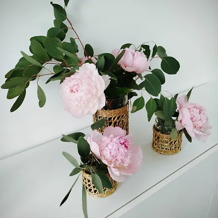 4 Personnes Et 1 Bebe Avec Vue Proche De Durbuy - La Roche - 2 Terrasses Et Jardin - Parking Gratuit 2 Voitures *