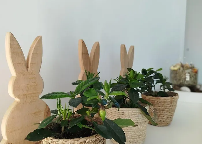 Avec Vue 4 Personnes Ardennes - Proche De Durbuy - La Roche - 2 Terrasses Privatives Et Jardin - Parking Gratuit 2 Voitures Noiseux