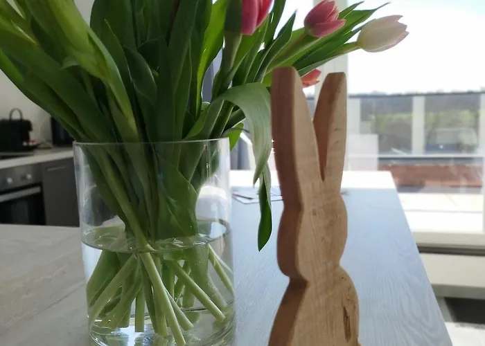 Avec Vue 4 Personnes Ardennes - Proche De Durbuy - La Roche - 2 Terrasses Privatives Et Jardin - Parking Gratuit 2 Voitures Noiseux