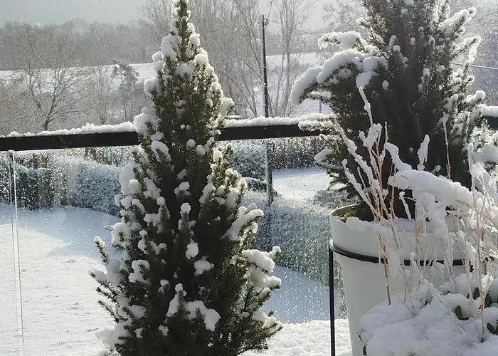 Avec Vue 4 Personnes Ardennes - Proche De Durbuy - La Roche - 2 Terrasses Privatives Et Jardin - Parking Gratuit 2 Voitures Apartment Noiseux