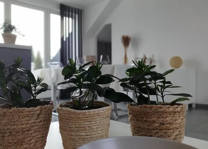 Avec Vue 4 Personnes Ardennes - Proche De Durbuy - La Roche - 2 Terrasses Privatives Et Jardin - Parking Gratuit 2 Voitures Apartment *