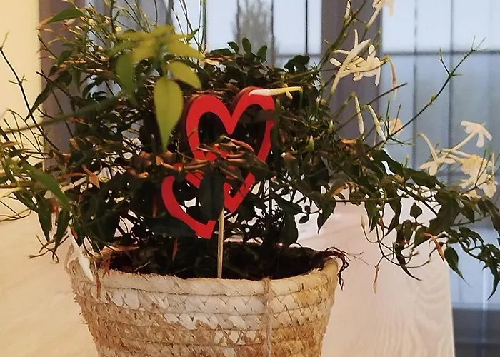 Apartment Avec Vue 4 Personnes Ardennes - Proche De Durbuy - La Roche - 2 Terrasses Privatives Et Jardin - Parking Gratuit 2 Voitures *