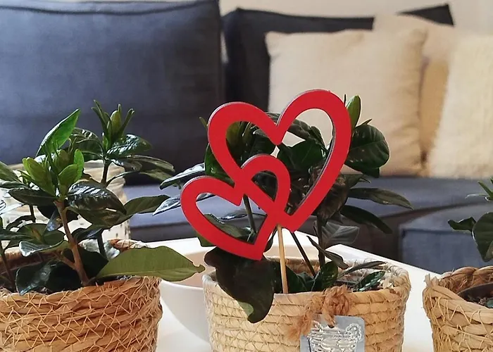 Apartment Avec Vue 4 Personnes Ardennes - Proche De Durbuy - La Roche - 2 Terrasses Privatives Et Jardin - Parking Gratuit 2 Voitures *