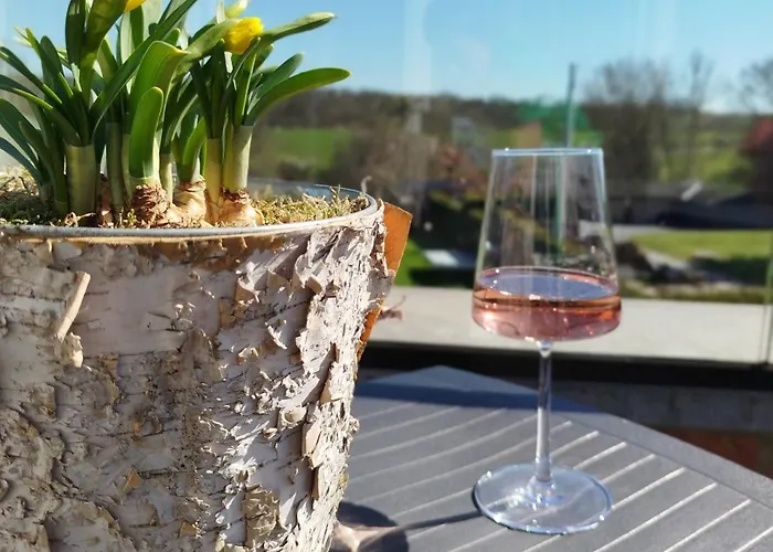 Apartment Avec Vue 4 Personnes Ardennes - Proche De Durbuy - La Roche - 2 Terrasses Privatives Et Jardin - Parking Gratuit 2 Voitures Noiseux