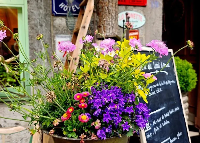 Avec Vue 4 Personnes Ardennes - Proche De Durbuy - La Roche - 2 Terrasses Privatives Et Jardin - Parking Gratuit 2 Voitures * Noiseux