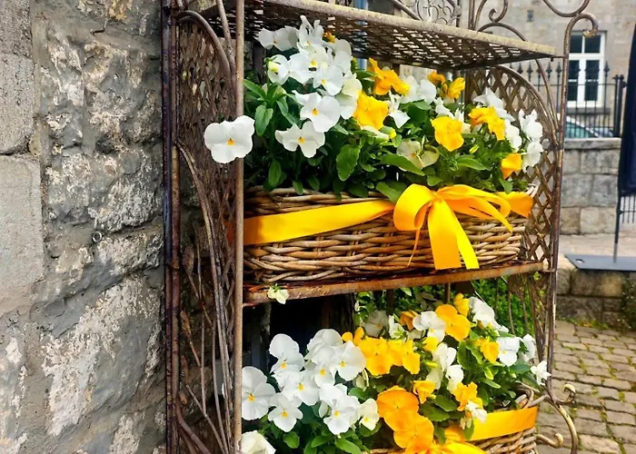 Avec Vue 4 Personnes Ardennes - Proche De Durbuy - La Roche - 2 Terrasses Privatives Et Jardin - Parking Gratuit 2 Voitures Noiseux