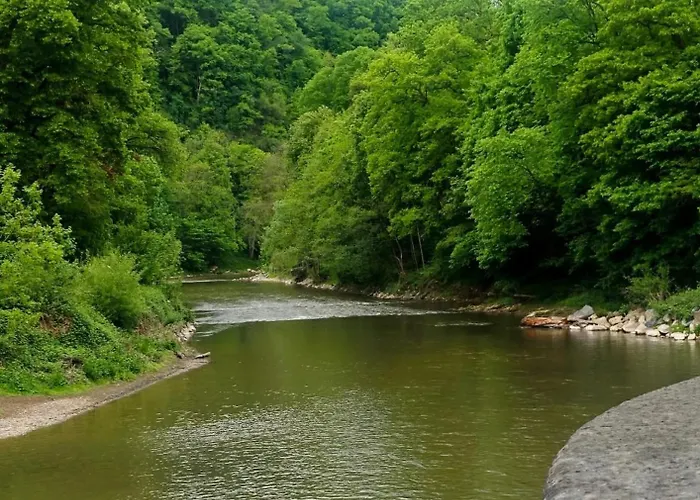 Avec Vue 4 Personnes Ardennes - Proche De Durbuy - La Roche - 2 Terrasses Privatives Et Jardin - Parking Gratuit 2 Voitures Apartment Noiseux