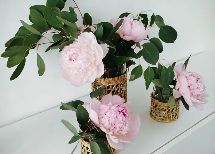 Avec Vue 4 Personnes Ardennes - Proche De Durbuy - La Roche - 2 Terrasses Privatives Et Jardin - Parking Gratuit 2 Voitures *