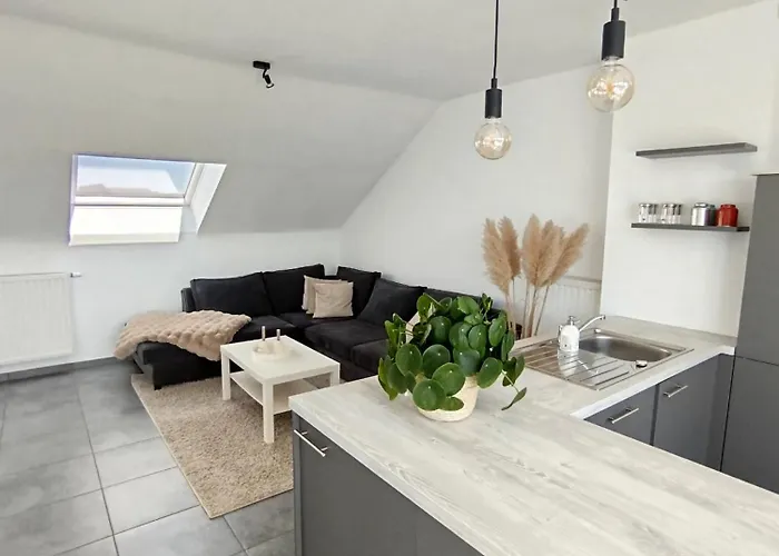 Avec Vue 4 Personnes Ardennes - Proche De Durbuy - La Roche - 2 Terrasses Privatives Et Jardin - Parking Gratuit 2 Voitures *