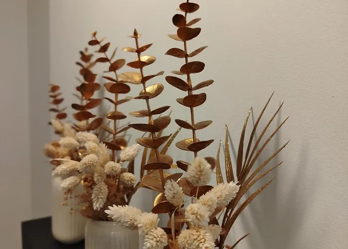 Avec Vue 4 Personnes Ardennes - Proche De Durbuy - La Roche - 2 Terrasses Privatives Et Jardin - Parking Gratuit 2 Voitures Noiseux