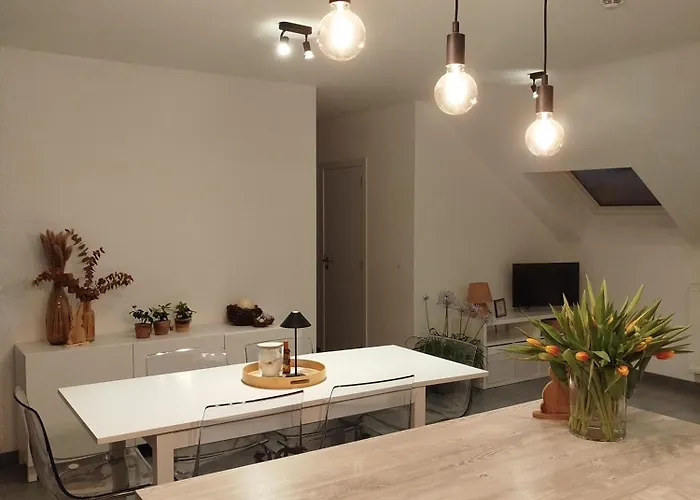 Avec Vue 4 Personnes Ardennes - Proche De Durbuy - La Roche - 2 Terrasses Privatives Et Jardin - Parking Gratuit 2 Voitures